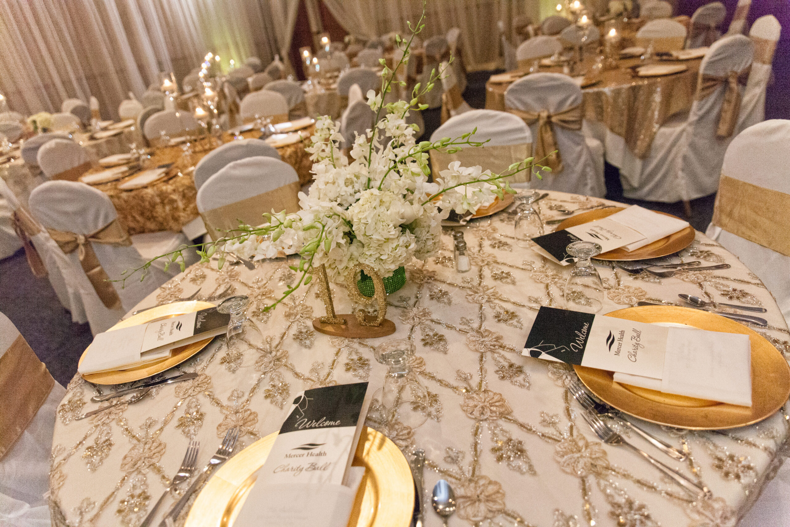 Charity Ball | Charity Sponsorship Opportunities | Mercer Health