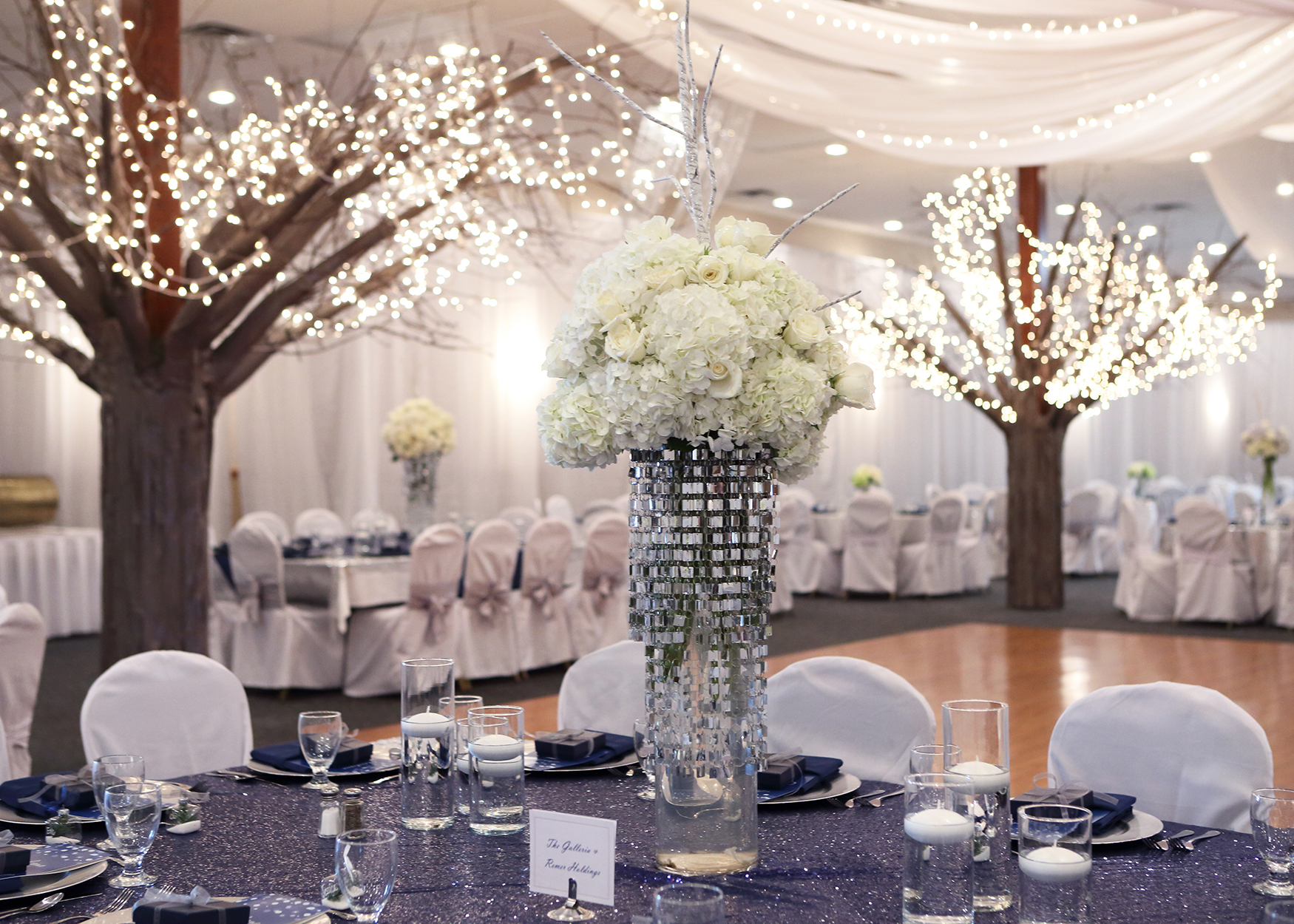 Charity Ball | Charity Sponsorship Opportunities | Mercer Health